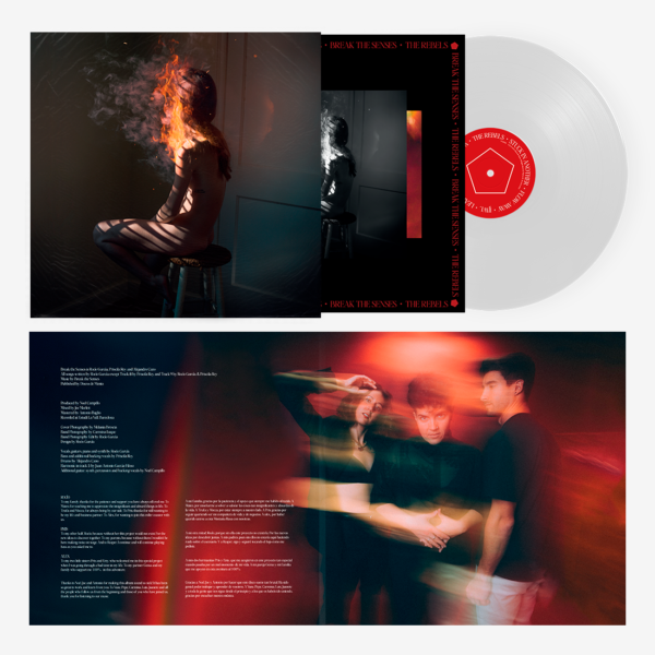 THE REBELS VINYL