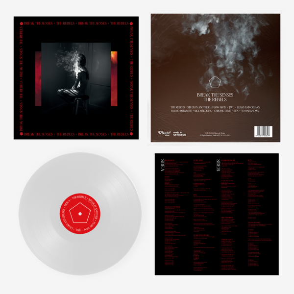 THE REBELS VINYL - Imagen 3